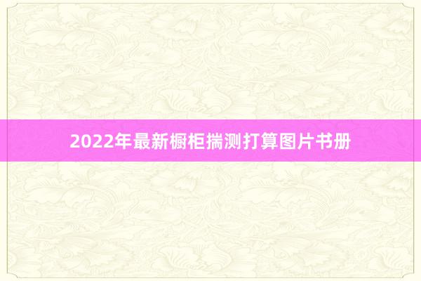 2022年最新橱柜揣测打算图片书册