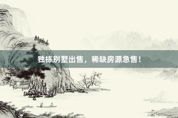 独栋别墅出售，稀缺房源急售！
