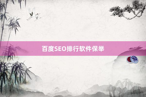 百度SEO排行软件保举