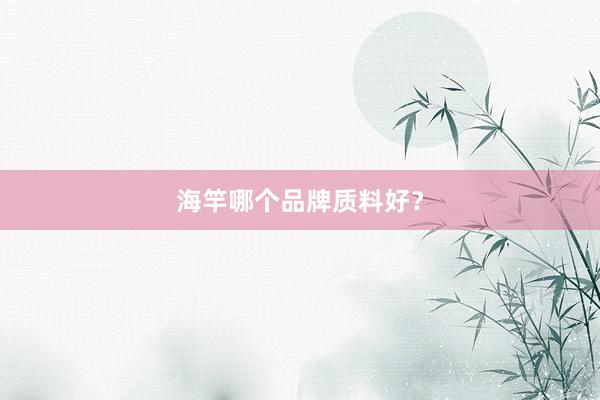 海竿哪个品牌质料好？